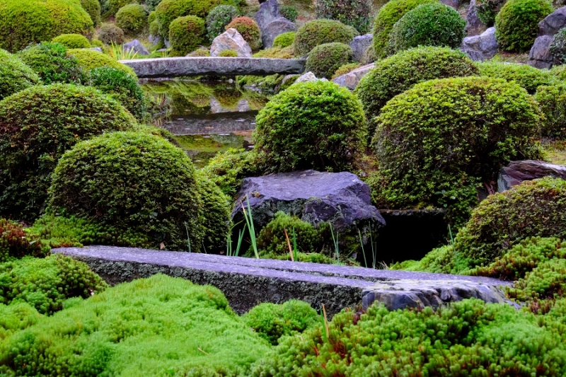 Лучшие достопримечательности Японии в сезон момидзи: Tokyo-Nagoya(Obara,Korankei)-Kyoto-Nara-Osaka