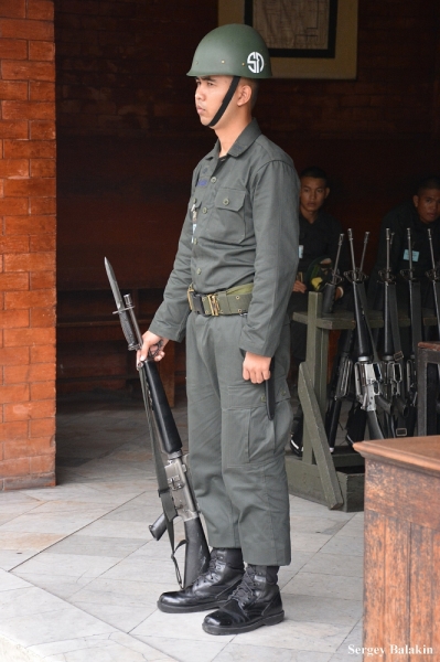 Азиадские штучки Queen-pig, тук-тук и хот-дог по-хайнаньски в круизе Voyager of the Seas