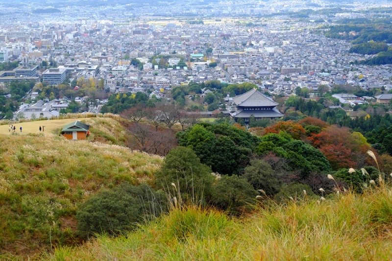 Лучшие достопримечательности Японии в сезон момидзи: Tokyo-Nagoya(Obara,Korankei)-Kyoto-Nara-Osaka