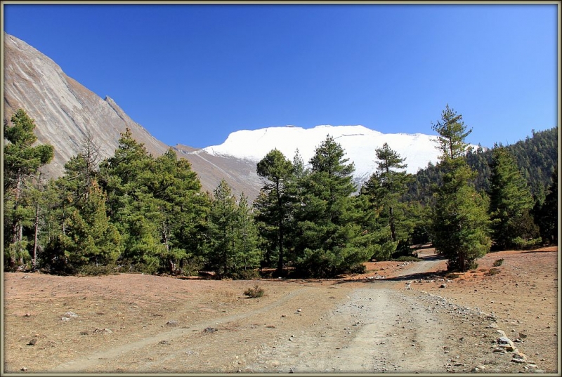 Чаме - Верхний Писанг