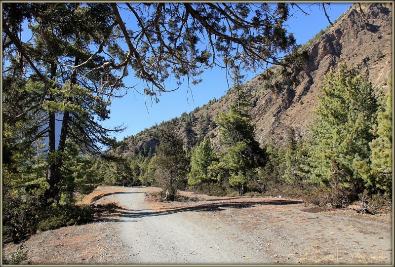 Чаме - Верхний Писанг