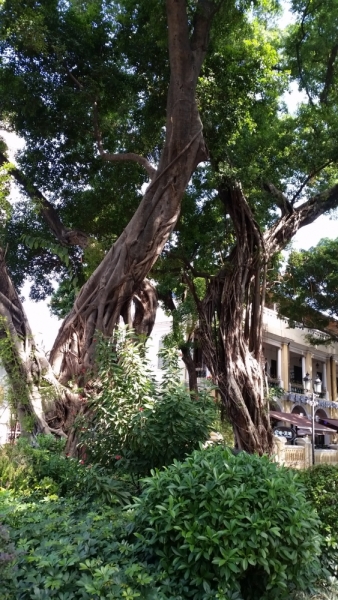 Гуанчжоу с 20-27 ноября 2015