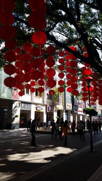 Гуанчжоу с 20-27 ноября 2015