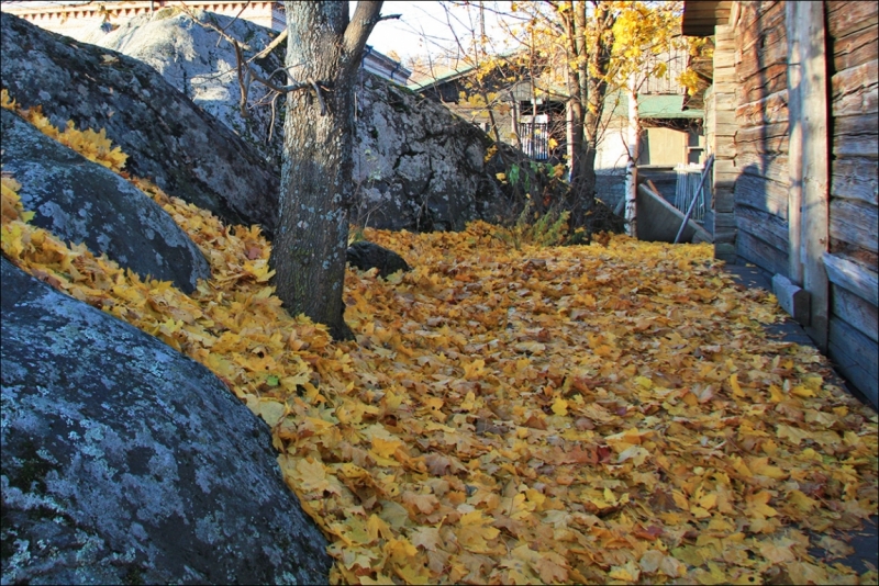 Финляндия. Савонлинна, Олавинлинна - впечатления, фото