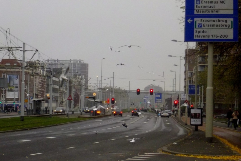 Из провинций в столицу (Нидерланды)