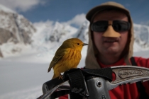 Птицы в фотографиях из путешествий