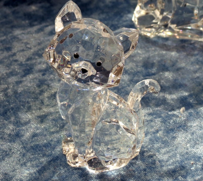 Поговорим о кошках 37