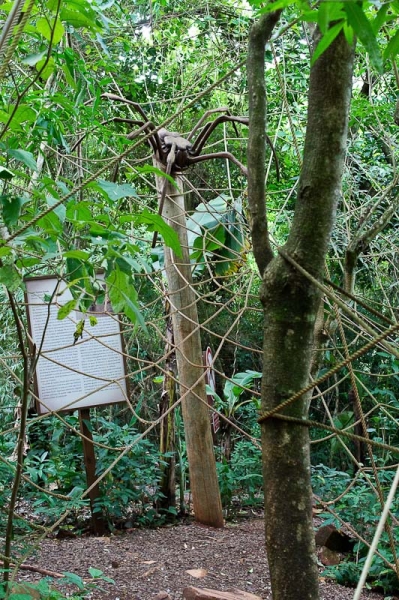 Сан Паоло, Игуасу, Рио ноябрь 2013