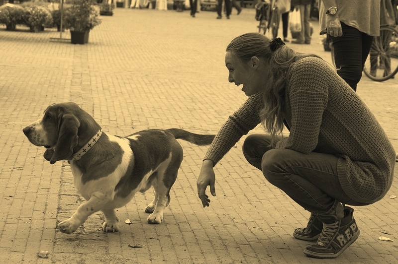 Красивые, симпатичные и живописные девушки планеты Земля. ( фототраффик )