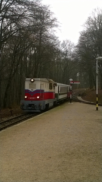 Зима в Европе с лыжами