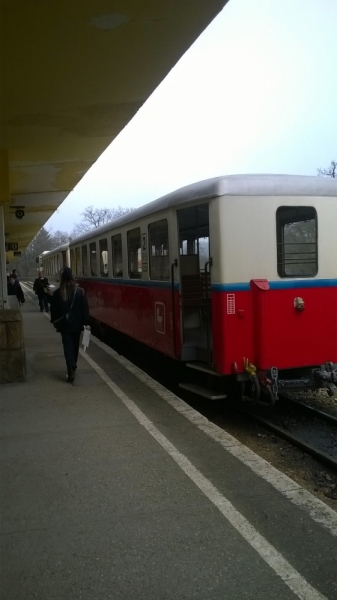 Зима в Европе с лыжами