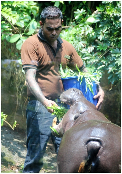 Двенадцать дней осени в городе вечного лета