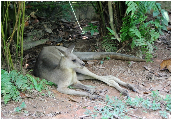 Двенадцать дней осени в городе вечного лета