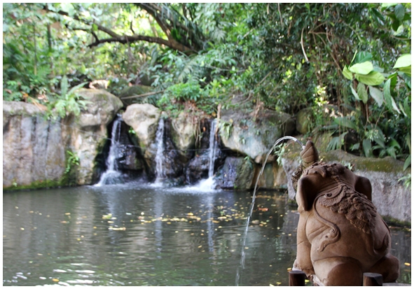 Двенадцать дней осени в городе вечного лета