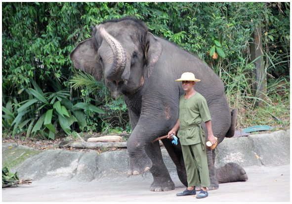 Двенадцать дней осени в городе вечного лета