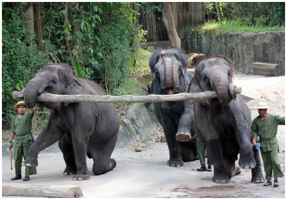 Двенадцать дней осени в городе вечного лета