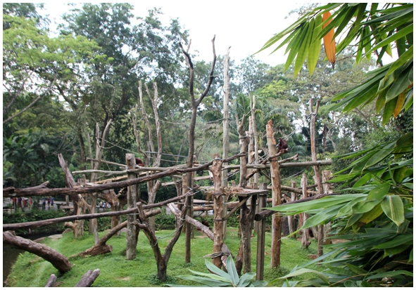 Двенадцать дней осени в городе вечного лета