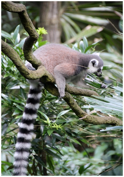 Двенадцать дней осени в городе вечного лета