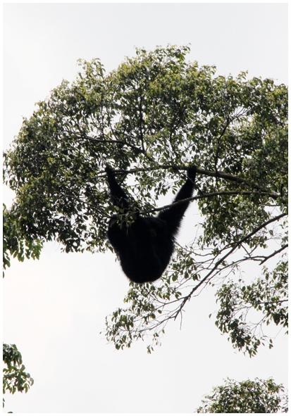 Двенадцать дней осени в городе вечного лета