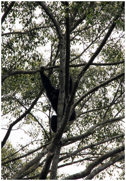 Двенадцать дней осени в городе вечного лета