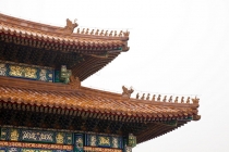 Пекин-Шанхай-Гонконг и окрестности (много фото)