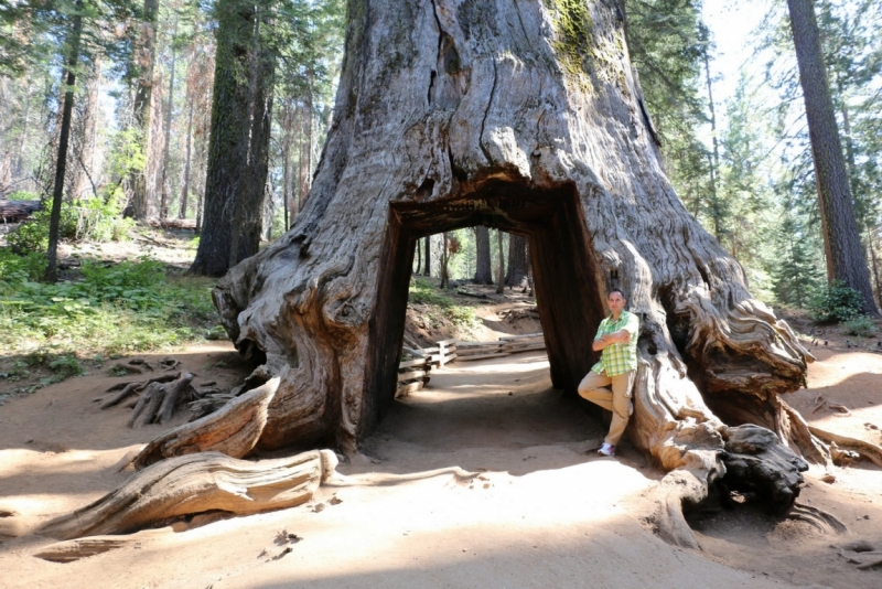 San Francisco и Yosemite Park: последняя неделя августа 2015