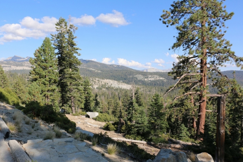 San Francisco и Yosemite Park: последняя неделя августа 2015