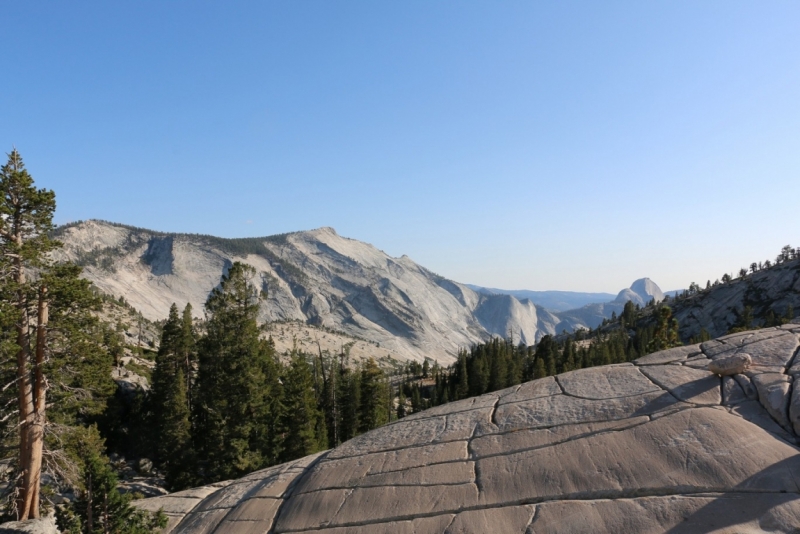 San Francisco и Yosemite Park: последняя неделя августа 2015