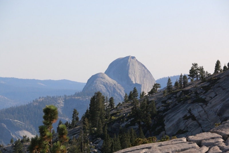 San Francisco и Yosemite Park: последняя неделя августа 2015