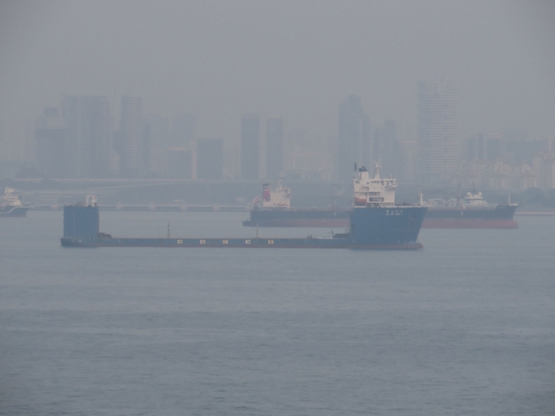 Азиадские штучки Queen-pig, тук-тук и хот-дог по-хайнаньски в круизе Voyager of the Seas