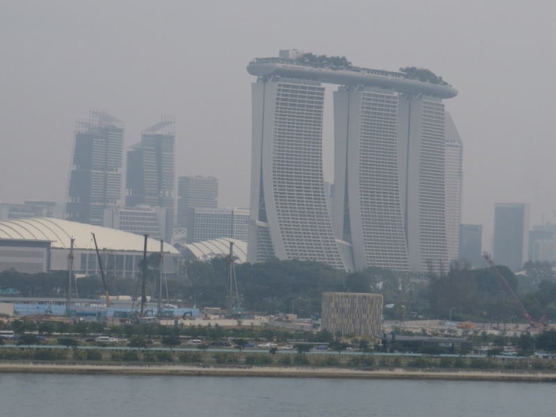 Азиадские штучки Queen-pig, тук-тук и хот-дог по-хайнаньски в круизе Voyager of the Seas