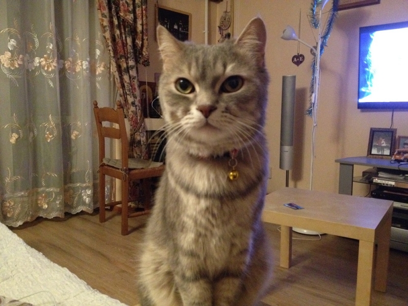 Принял на грудь, скажи что-нибудь! Трезвым вход запрещён!