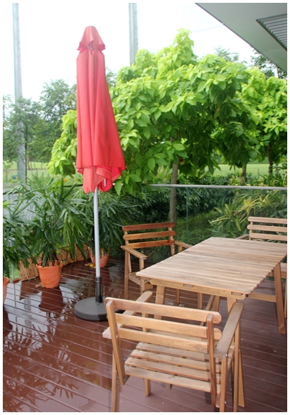 Двенадцать дней осени в городе вечного лета