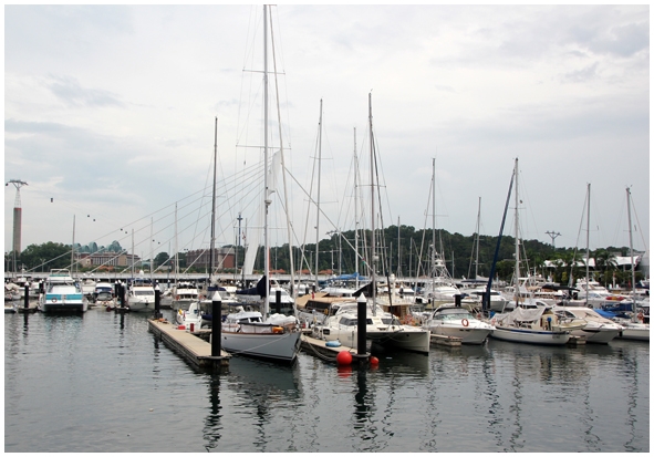 Двенадцать дней осени в городе вечного лета