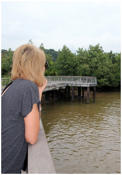 Двенадцать дней осени в городе вечного лета