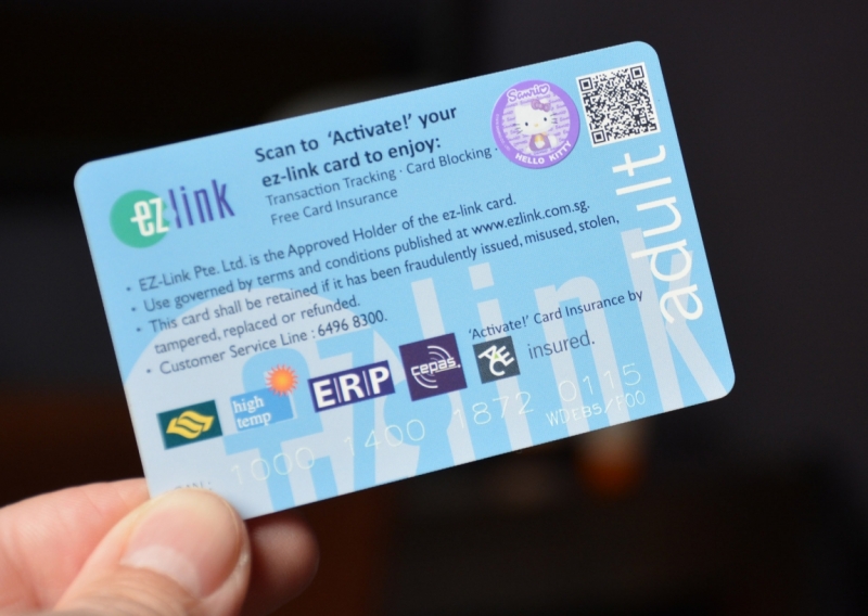 Азиадские штучки Queen-pig, тук-тук и хот-дог по-хайнаньски в круизе Voyager of the Seas