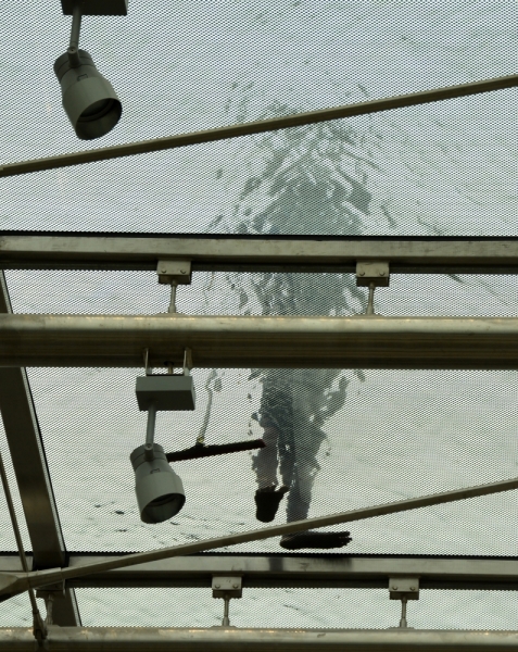 Азиадские штучки Queen-pig, тук-тук и хот-дог по-хайнаньски в круизе Voyager of the Seas