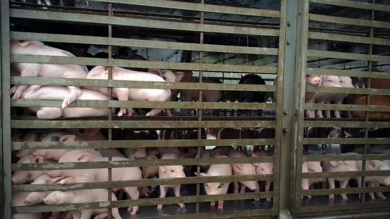 Из Тайланда на мотобайке во Вьетнам, Лаос, Камбоджу. Путешествие во Времени в Город Весны