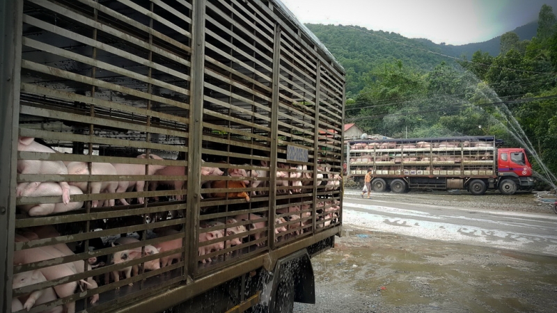 Из Тайланда на мотобайке во Вьетнам, Лаос, Камбоджу. Путешествие во Времени в Город Весны