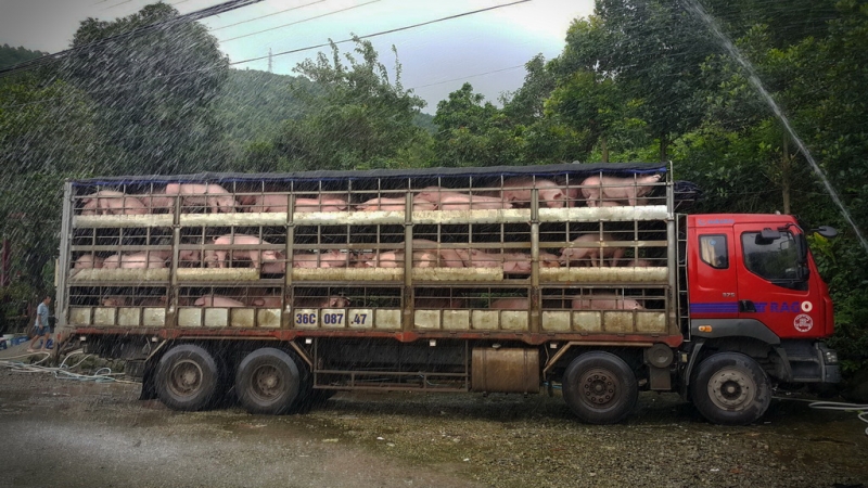 Из Тайланда на мотобайке во Вьетнам, Лаос, Камбоджу. Путешествие во Времени в Город Весны