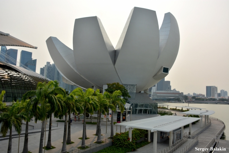 Азиадские штучки Queen-pig, тук-тук и хот-дог по-хайнаньски в круизе Voyager of the Seas