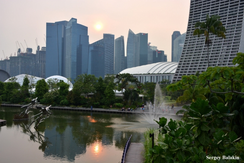 Азиадские штучки Queen-pig, тук-тук и хот-дог по-хайнаньски в круизе Voyager of the Seas