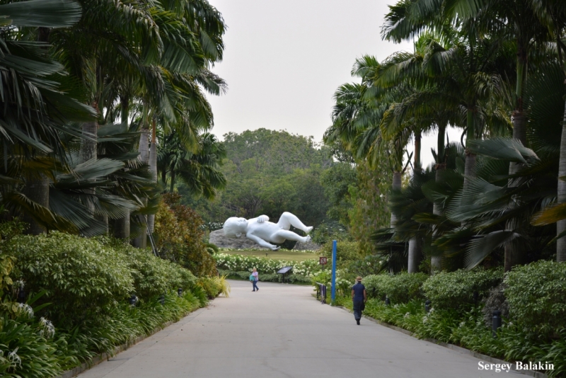 Азиадские штучки Queen-pig, тук-тук и хот-дог по-хайнаньски в круизе Voyager of the Seas