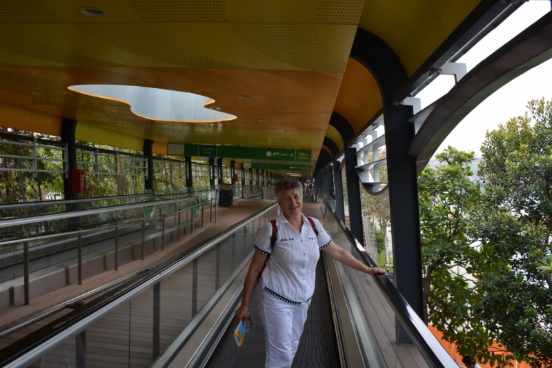 Азиадские штучки Queen-pig, тук-тук и хот-дог по-хайнаньски в круизе Voyager of the Seas