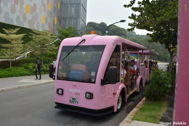 Азиадские штучки Queen-pig, тук-тук и хот-дог по-хайнаньски в круизе Voyager of the Seas