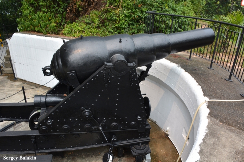 Азиадские штучки Queen-pig, тук-тук и хот-дог по-хайнаньски в круизе Voyager of the Seas