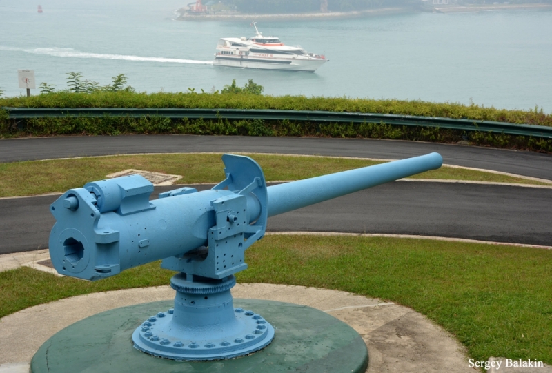 Азиадские штучки Queen-pig, тук-тук и хот-дог по-хайнаньски в круизе Voyager of the Seas