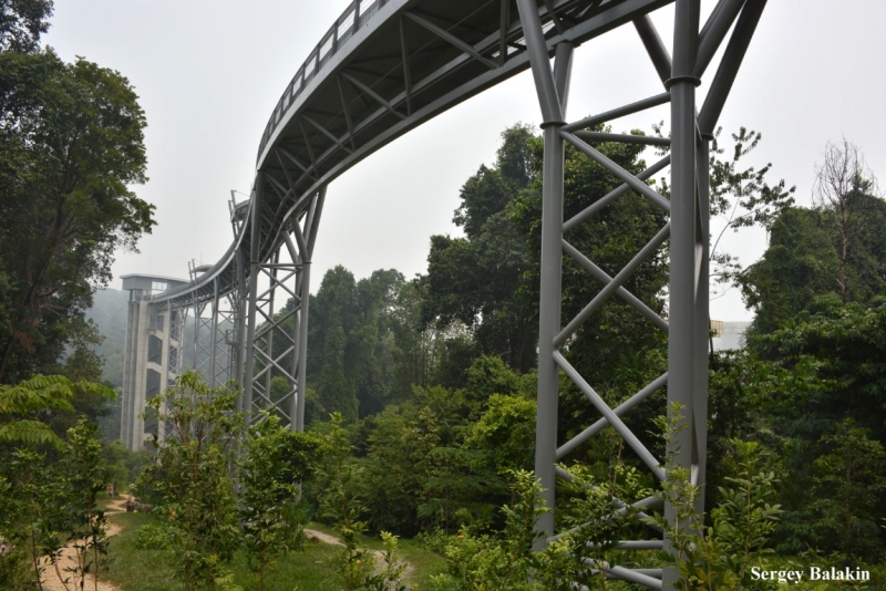 Азиадские штучки Queen-pig, тук-тук и хот-дог по-хайнаньски в круизе Voyager of the Seas