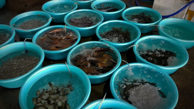 Из Тайланда на мотобайке во Вьетнам, Лаос, Камбоджу. Путешествие во Времени в Город Весны