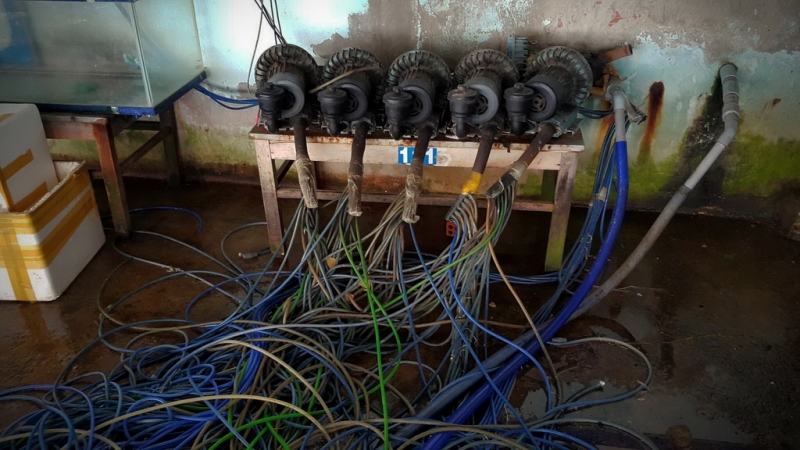 Из Тайланда на мотобайке во Вьетнам, Лаос, Камбоджу. Путешествие во Времени в Город Весны